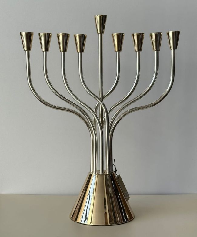 9000.jpg חנוכיה אתרוג משולב – תמונה 1